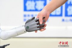 深圳首条人形机器人中试产